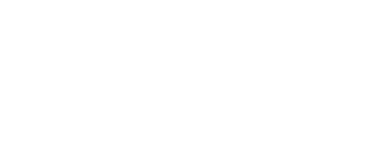 nami-logo-white-002-